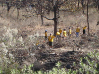Guardarayas de Seguridad contra incendios