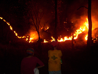 Incendio 2005